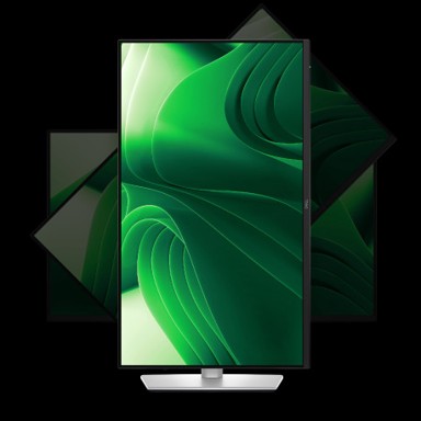 DELL Pro monitor 24 Plus P2425DE, 24", IPS, QHD, 100 Hz, USB-C 90 W